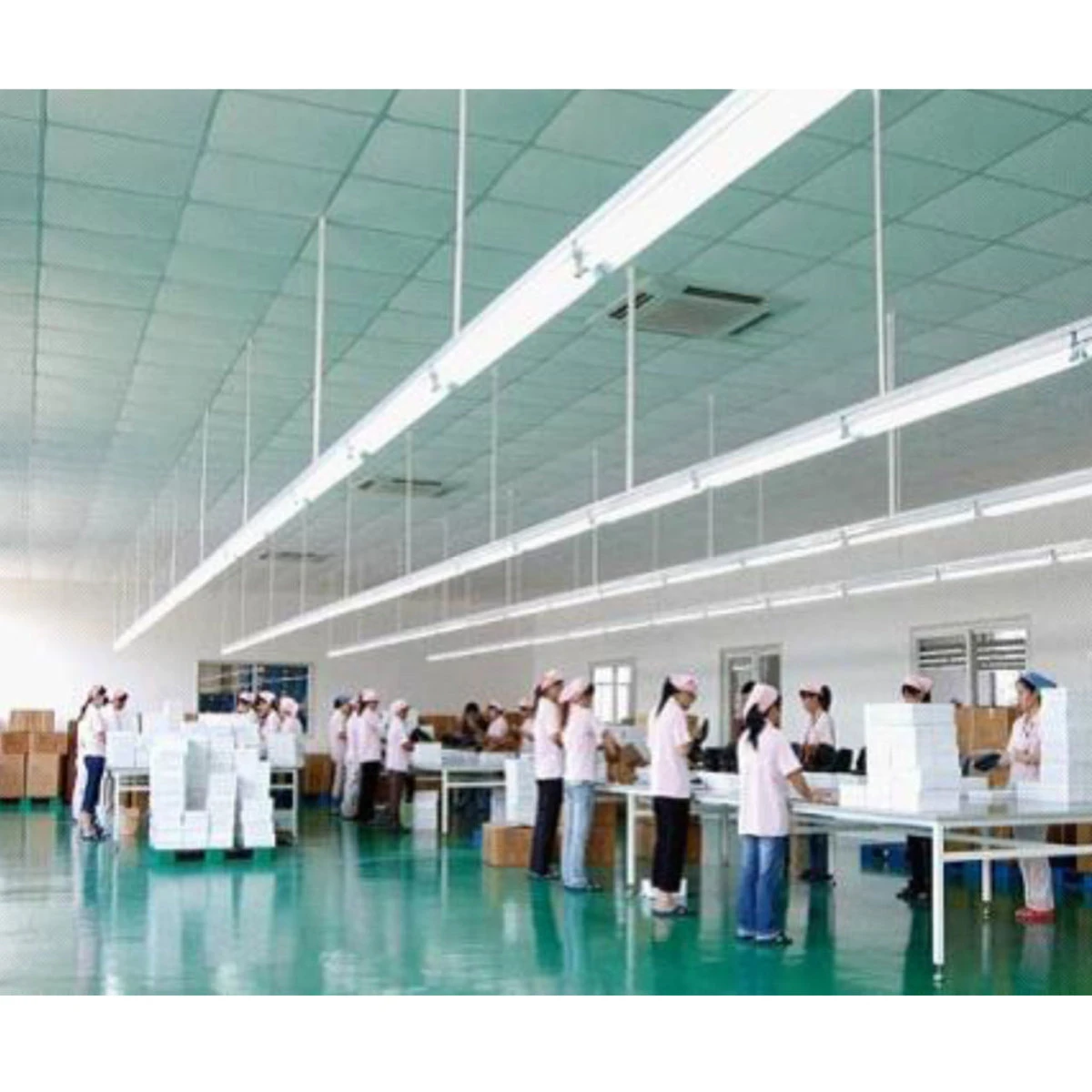 Case Of 25 - 4ft. LED T8 Tube - Type B - 18 Watt - 2340 Lumens - Frosted Lens 4 Case Of 25 - 4ft. LED T8 Tube - Type B - 18 Watt - 2340 Lumens - Frosted Lens - Image 4