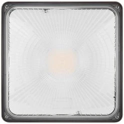 LED Wattage Adjustable & Color Tunable Canopy Light - 24W/36W/47W/60W - 3000K/4000K/5000K - Mester -Zenith Boutique Store lwmyrd4sopzfer1aetsc 18017.1690945795