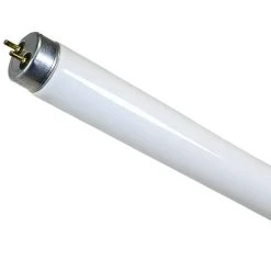 Case Of 24 - 3ft. Ecolux Starcoat T8 Fluorescent Tube - 25W - 3000K - GE Lighting