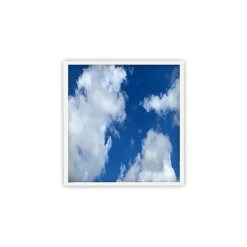 Case Of 4 - 2x2 LED Flat Panel Cloud Design Light - 39W - Beyond LED -Zenith Boutique Store trbndot5vvxl2wl8ayuu 37392.1698303379