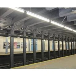 Case Of 25 - 8ft LED T8 Tube - Type B - 40W - 5200 Lumens - 4000K & 5000K - Frosted Lens - JN -Zenith Boutique Store w0rrcf5iqut5uxqf3z76 73881.1698272076