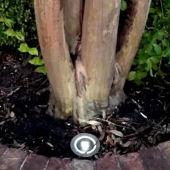 LED Solar Round Deck Light For Outdoor Driveway, Garden, Path, Patio, Or Lawn - LumeGen -Zenith Boutique Store ydecuguiqptkqilcgkeq 13766.1698697973